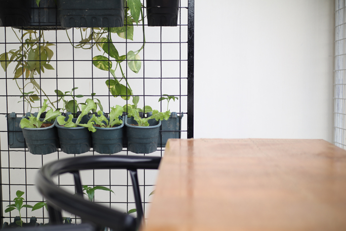 Ron Finley The Urban Gangsta Gardener