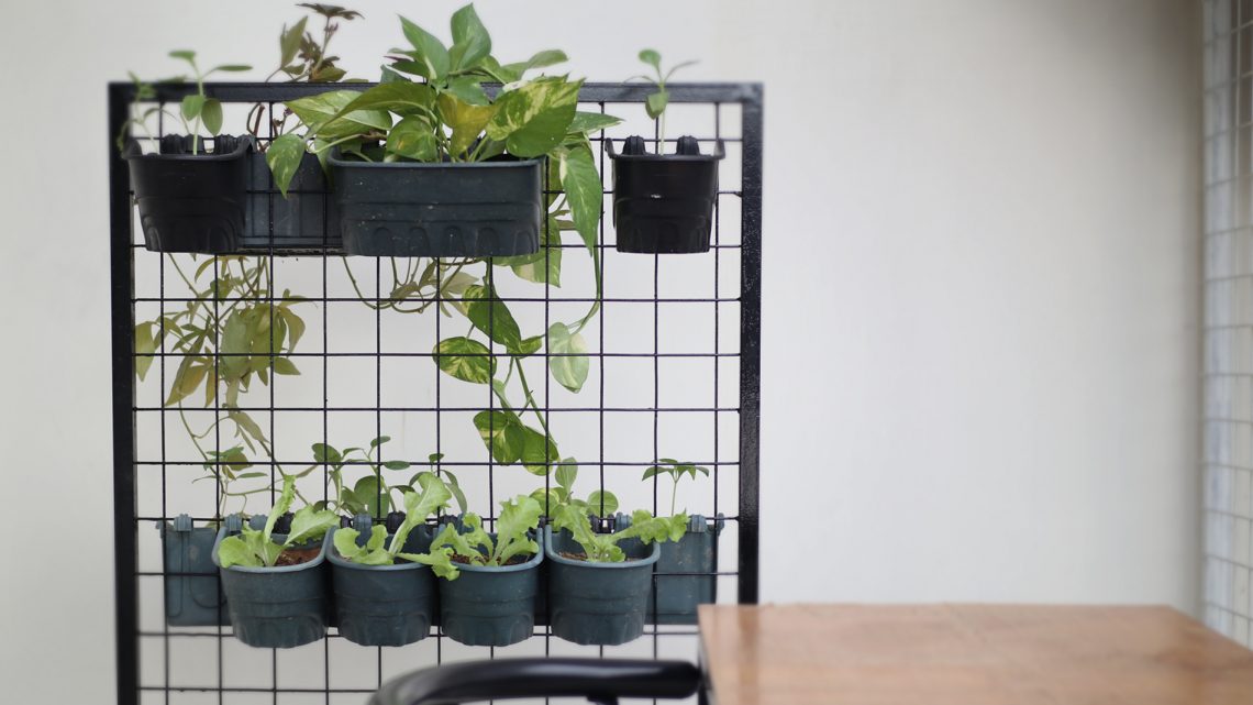 Movable Plant Holders